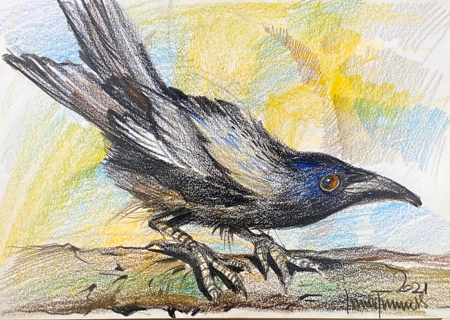 Живопись цветными карандашами. Говорящий ворон.