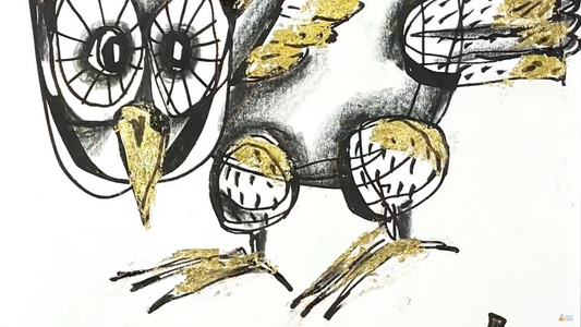 Сова вариации