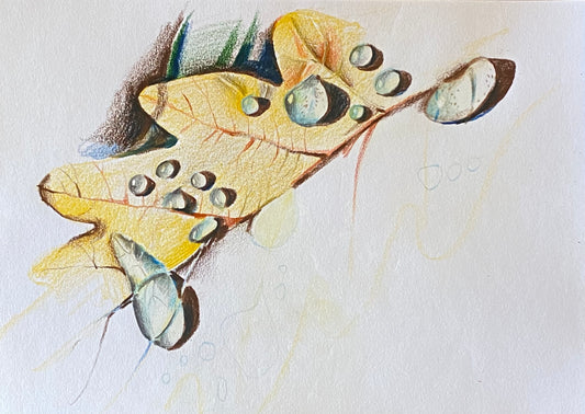 Живопись цветными карандашами. Капельки на осеннем листе