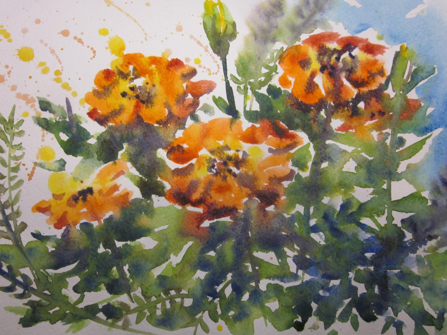 Арт-Марафон. Акварель чистая и звонкая. Курс 20 видео-уроков