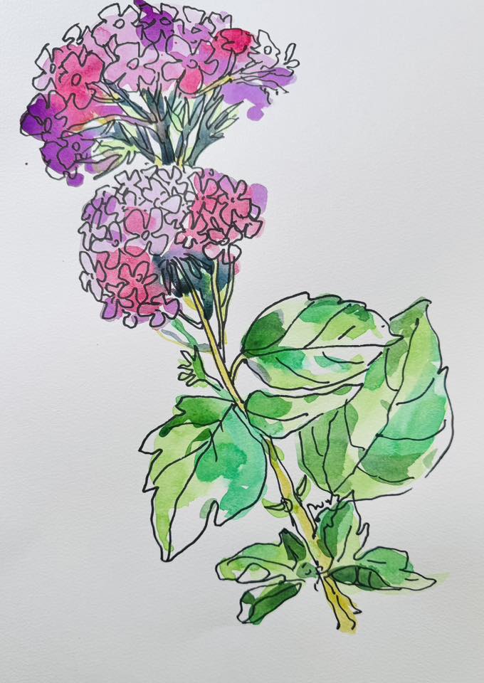 Книга «7 дней счастья» Seven Days of Happiness Greece. Peloponnese