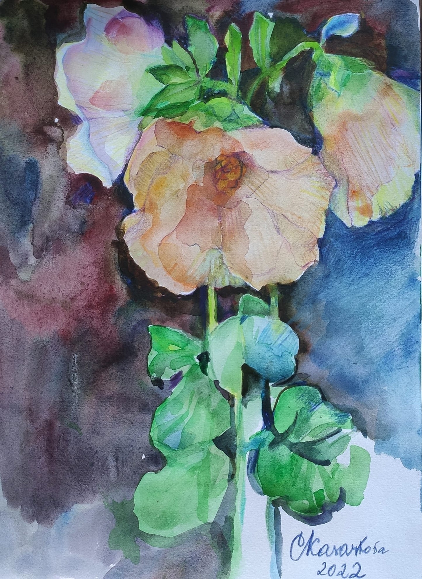 Белые мальвы. Летняя акварель. Мастер-класс