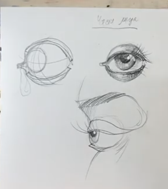 Портрет. Основы. Построение Глаза, Носа и Рта