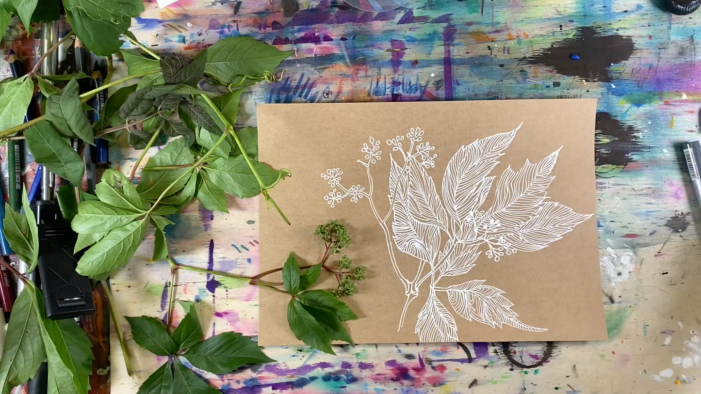 Графическая композиция виноградная лоза