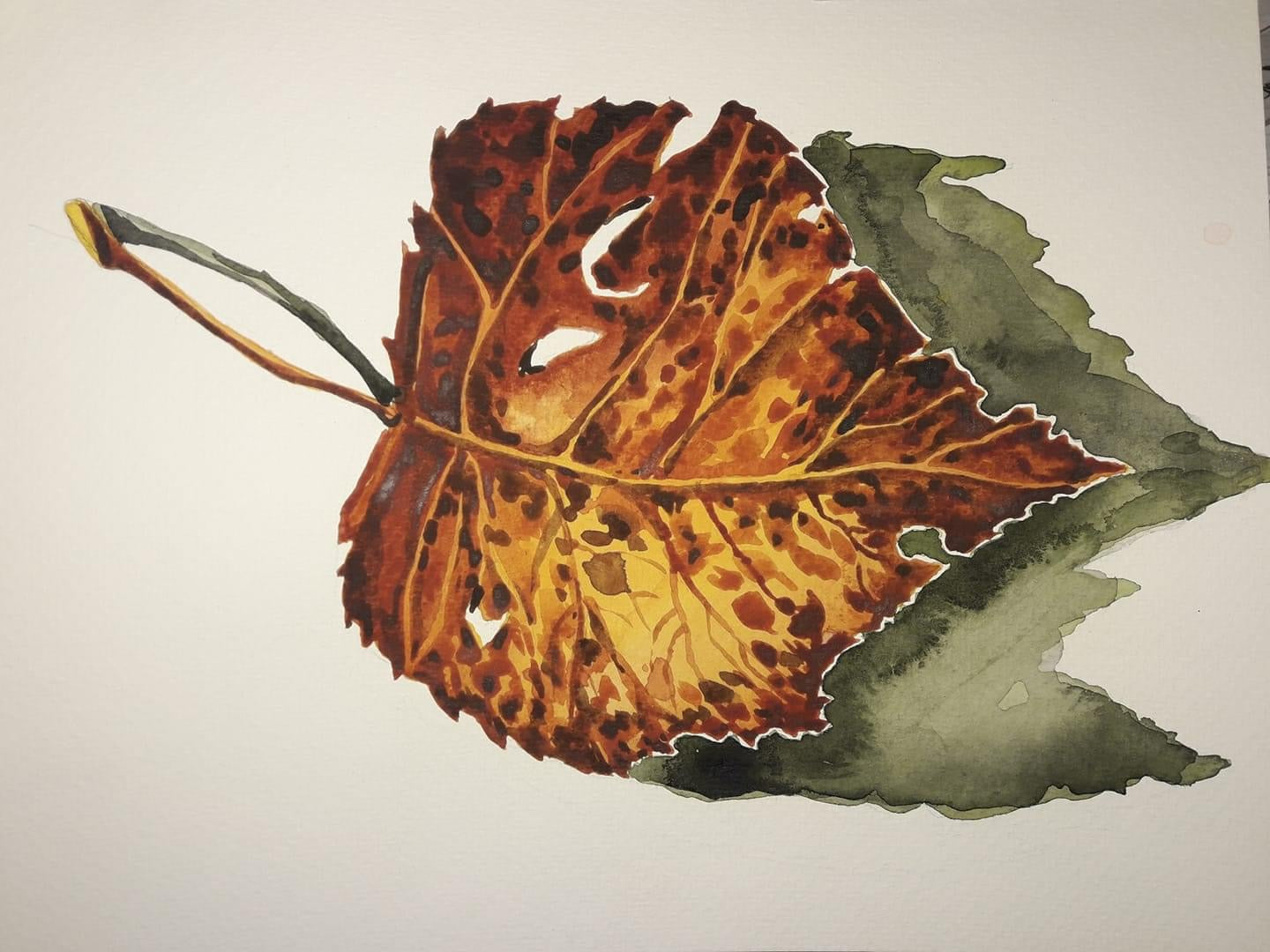 Арт-Марафон. Акварель чистая и звонкая. Курс 20 видео-уроков