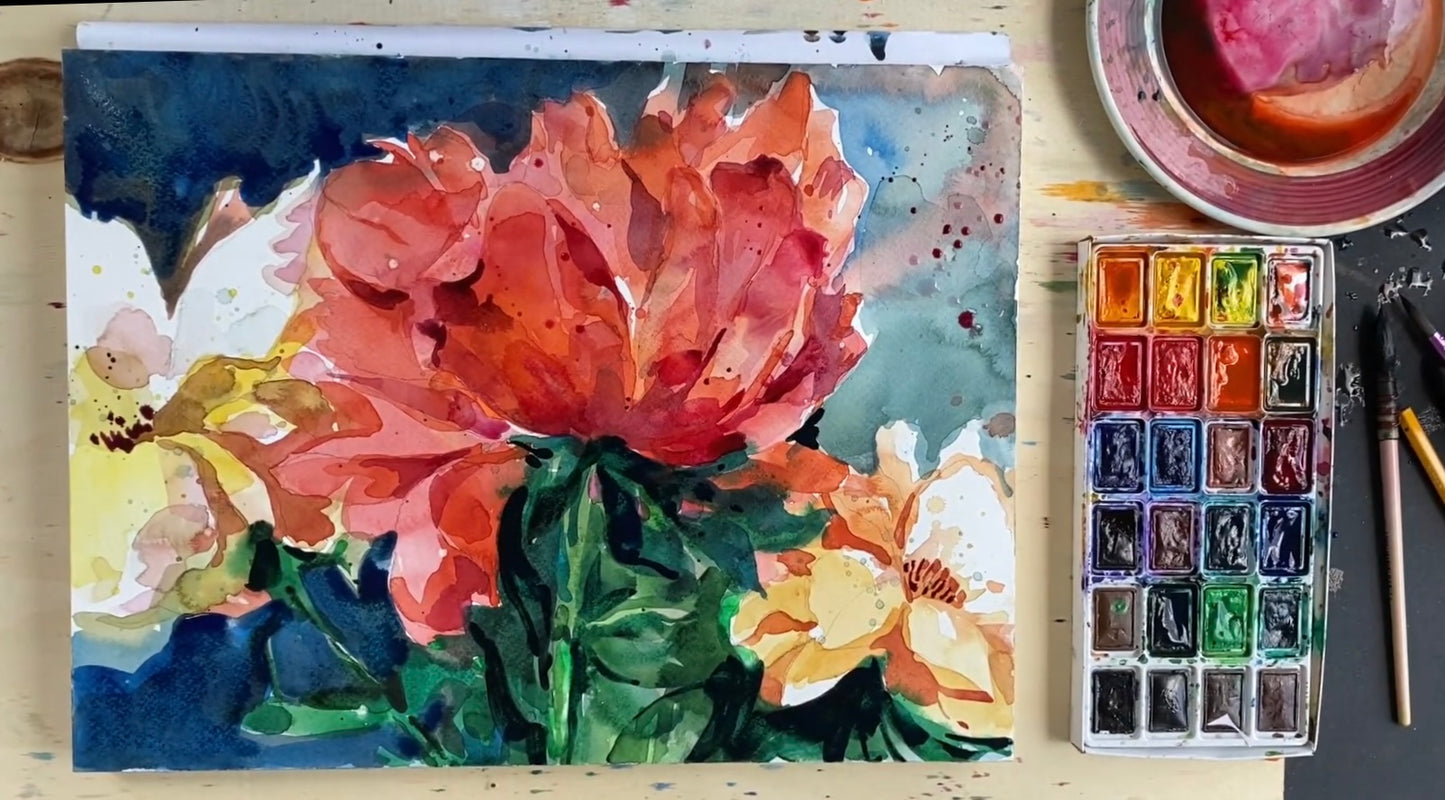 Чистая акварель. Июньские пионы