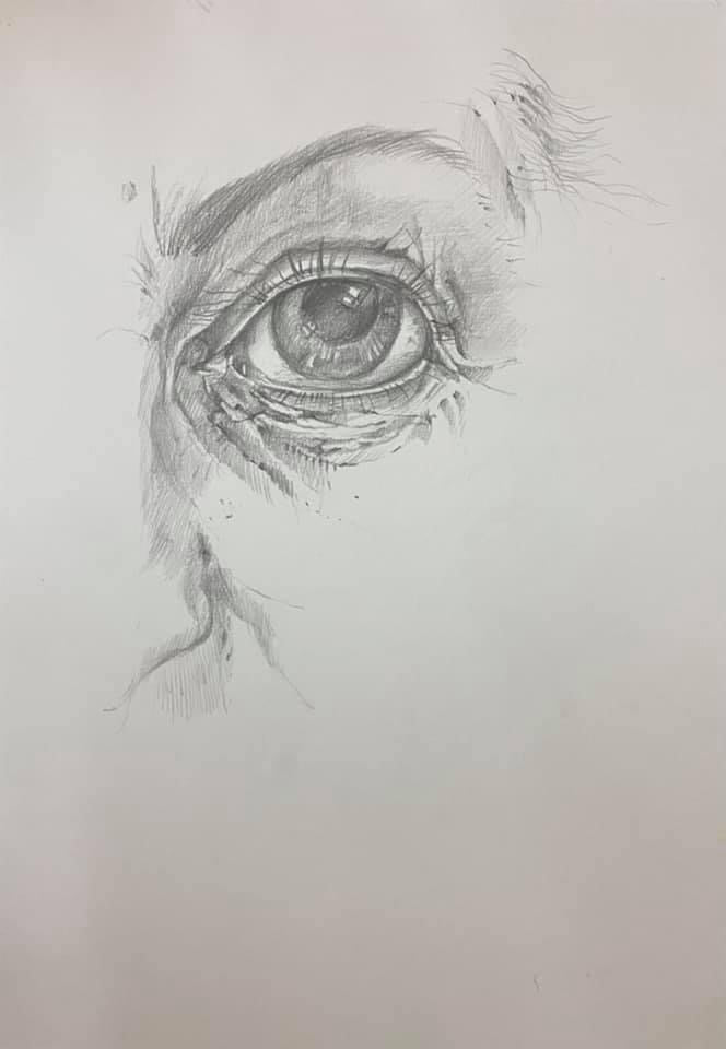 Марафон. Современный портрет