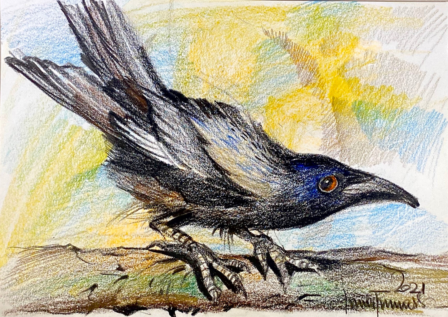 Марафон. Живопись цветными карандашами