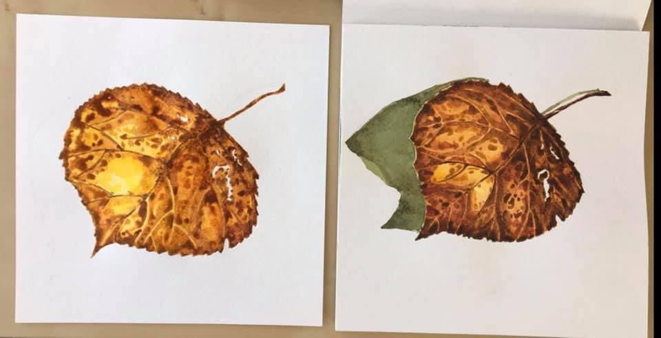 Арт-Марафон. Акварель чистая и звонкая. Курс 20 видео-уроков