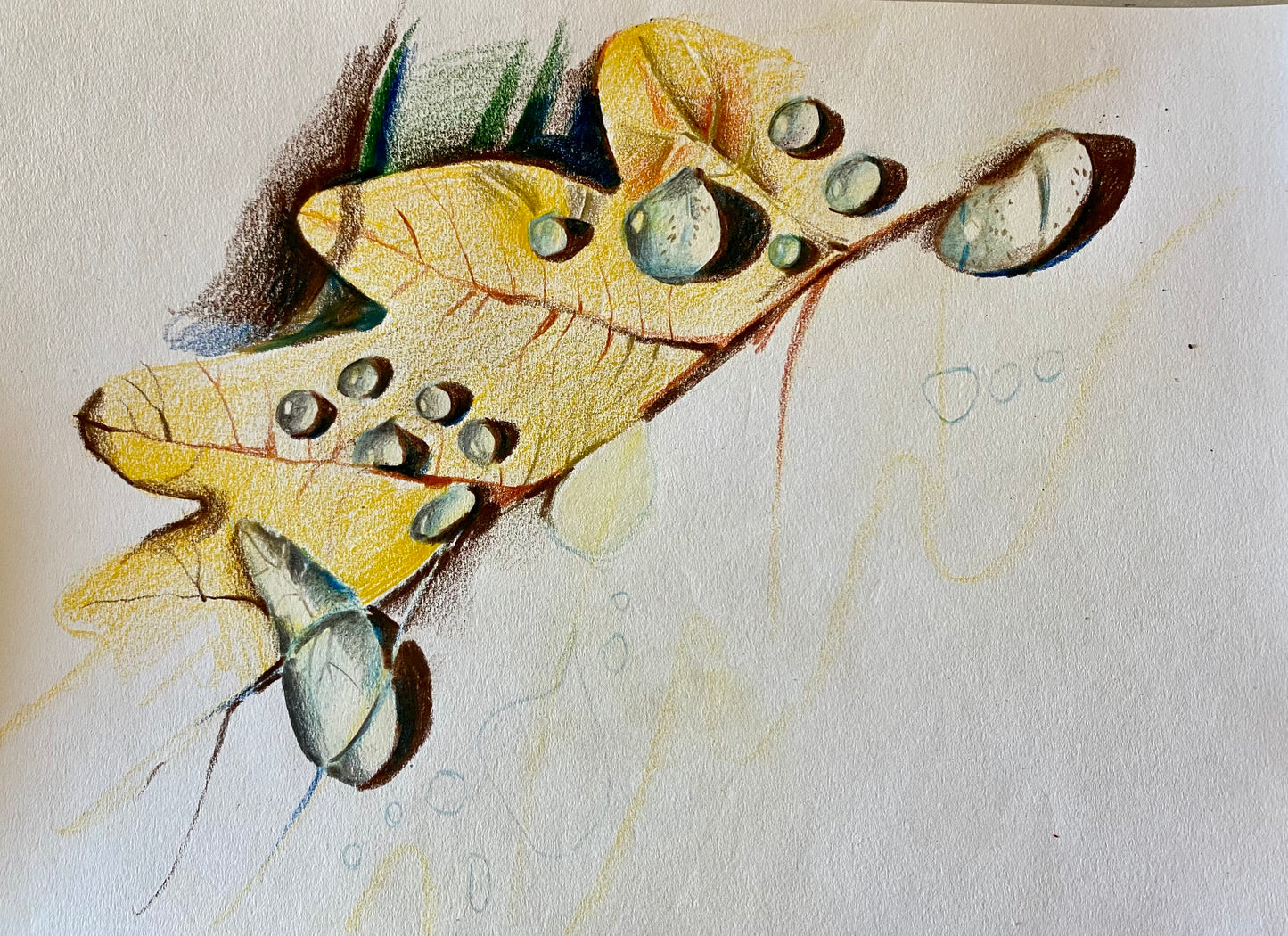 Марафон. Живопись цветными карандашами