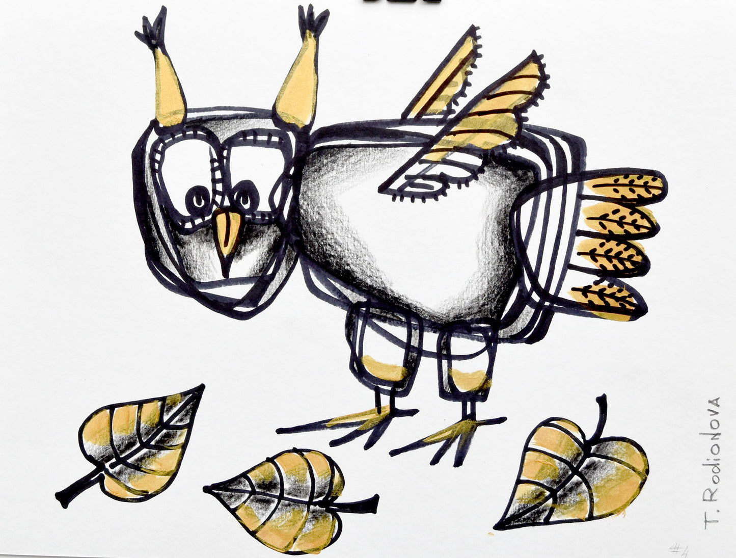 Сова вариации