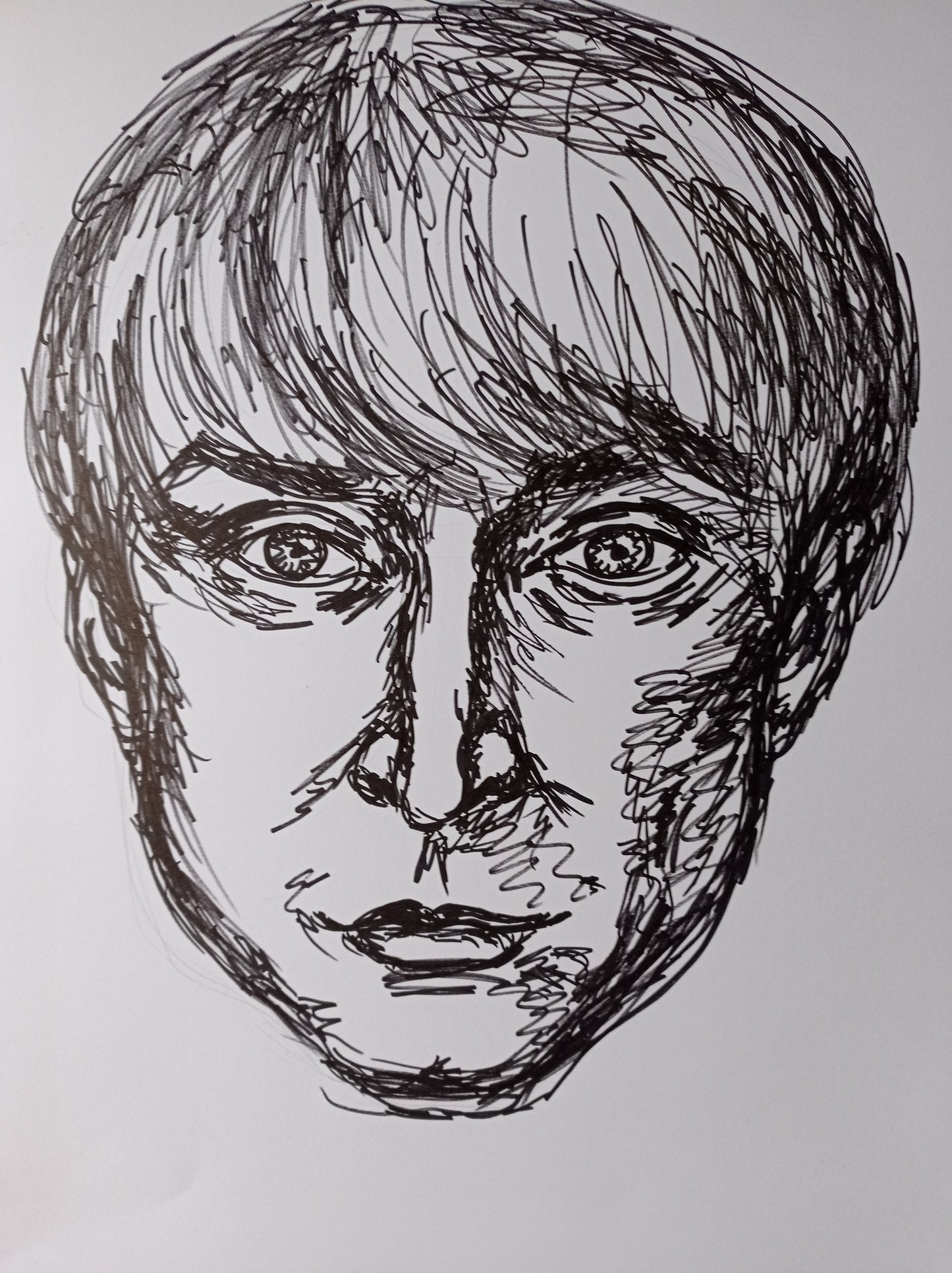 Портрет Свободной линией