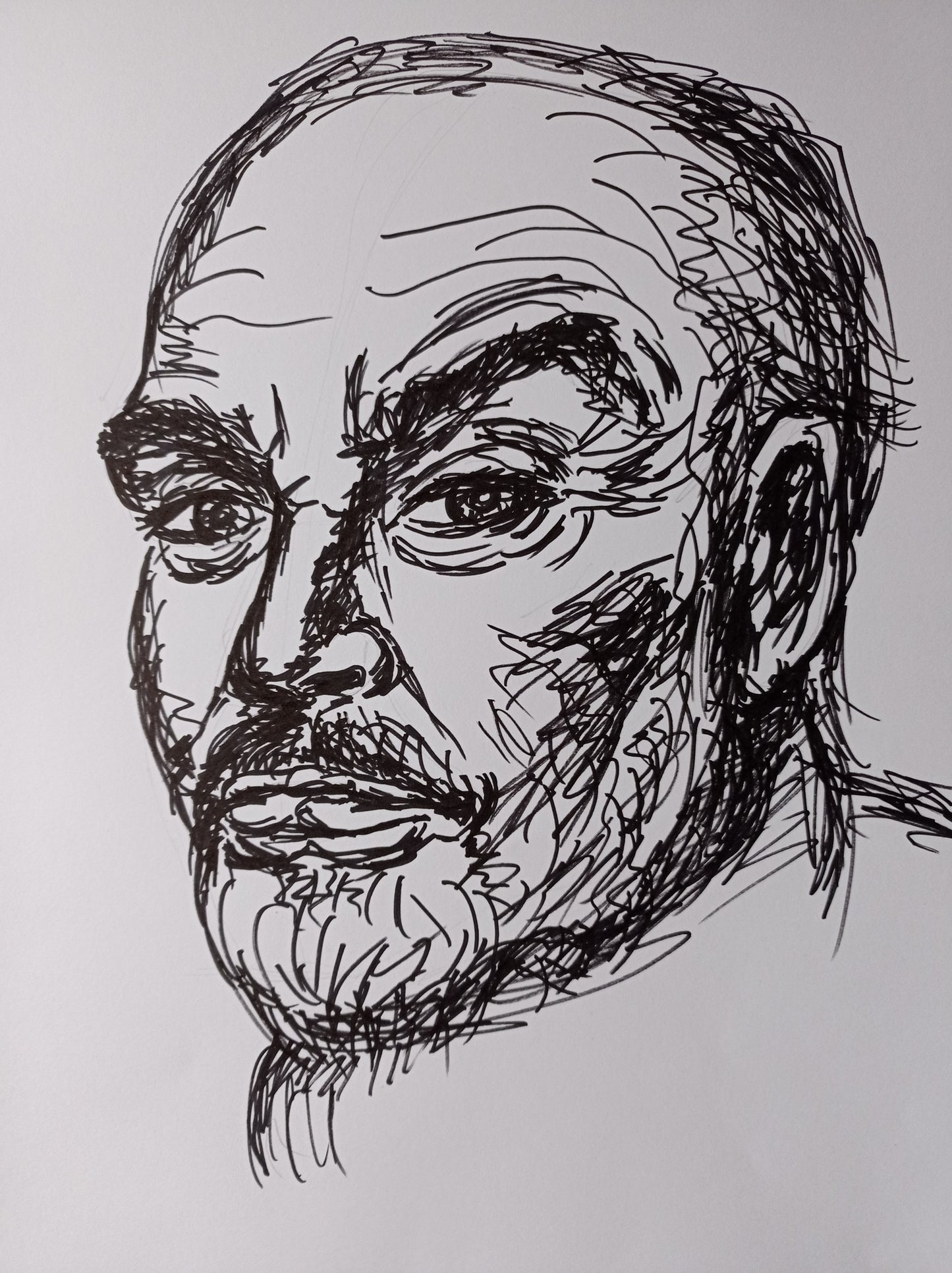 Портрет Свободной линией